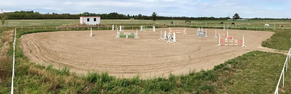 Reitschule & Reitstall Steinbach - Junge Reiter Elite - photo 2