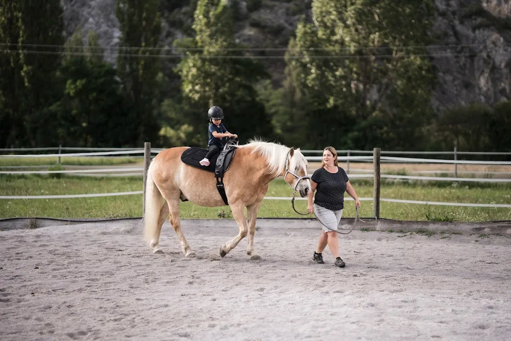Pferd & Mensch in Harmonie - Foto 1