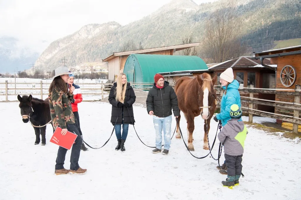 Pferd & Mensch in Harmonie - Foto 3
