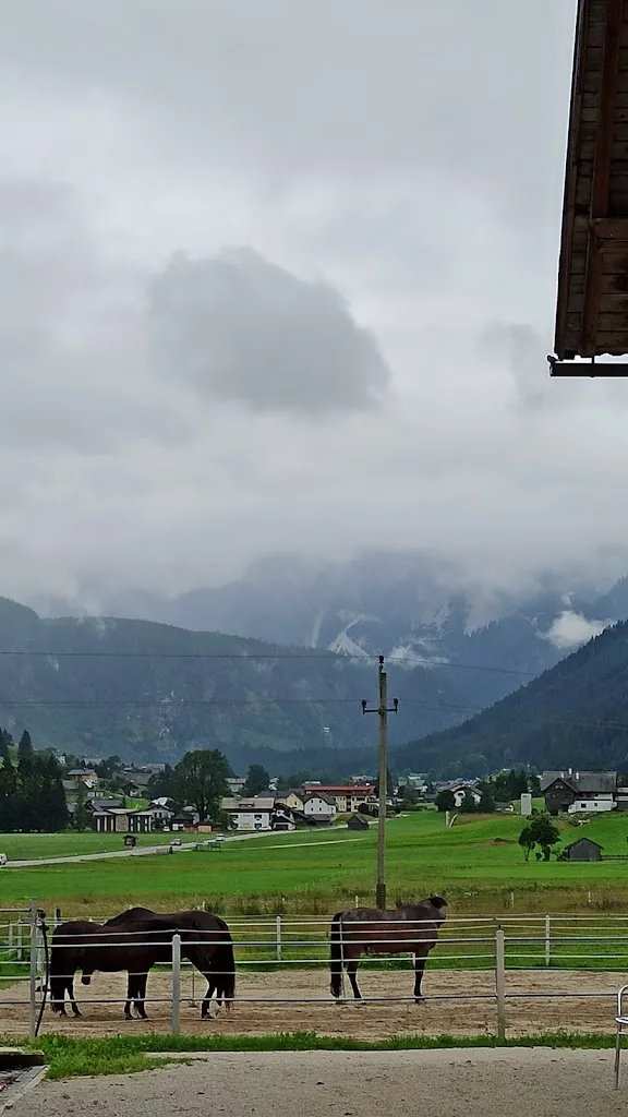Pferdehof Reiter Gosau - Foto 1