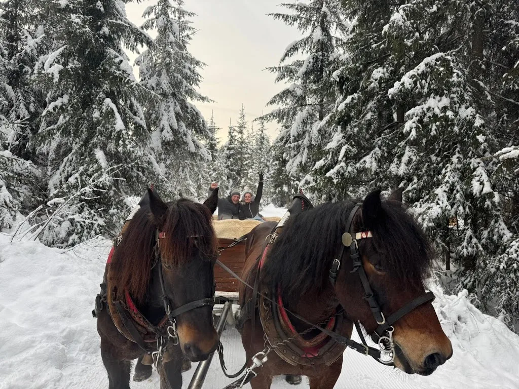 Pferdehof Reiter Gosau - Foto 2
