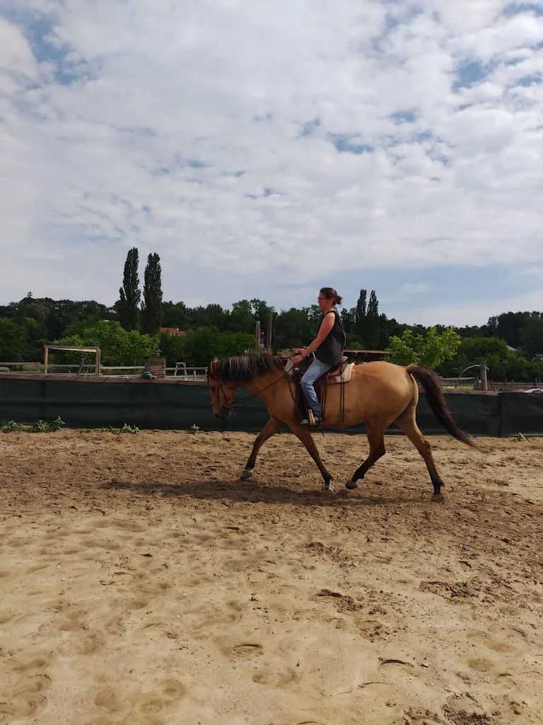 Westernreitinstruktorin Julia Knoll - Foto 1