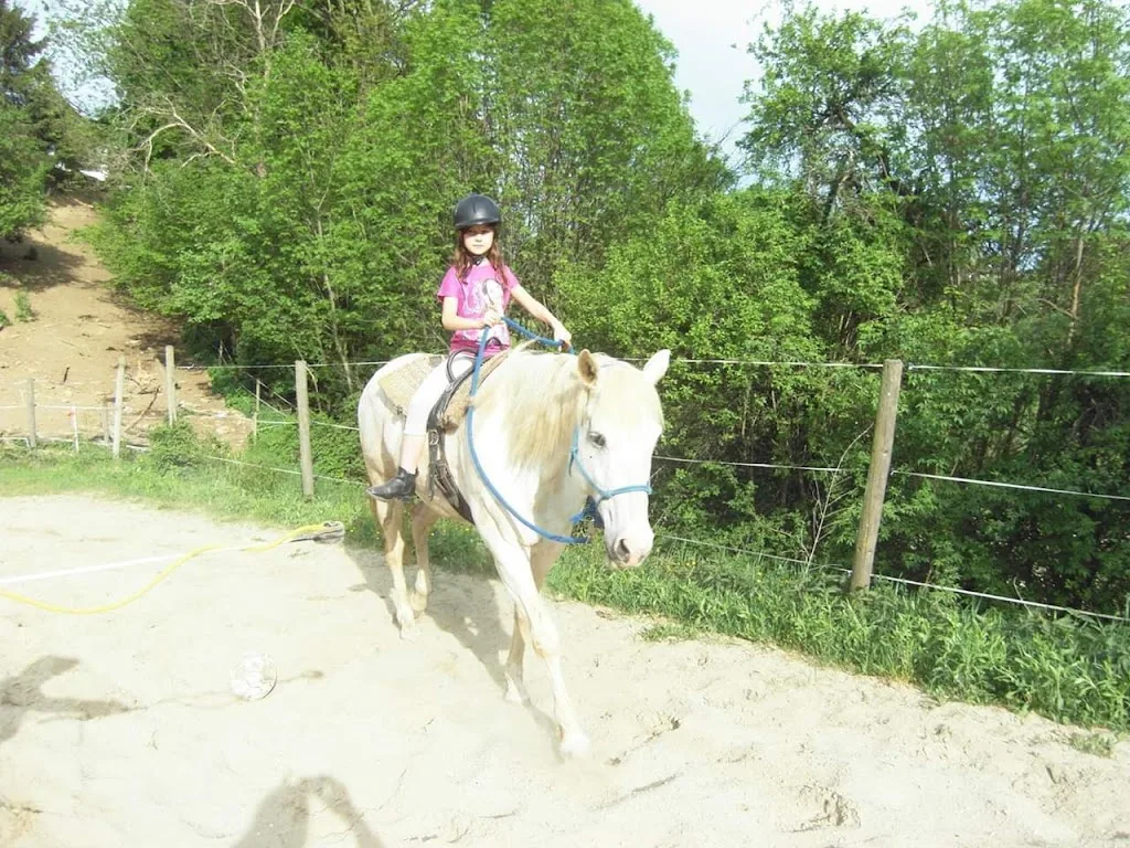 WESTERNRANCH FREISINGER - Foto 1