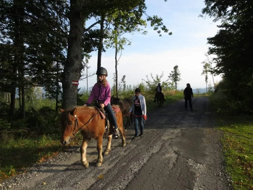 WESTERNRANCH FREISINGER - Foto 2
