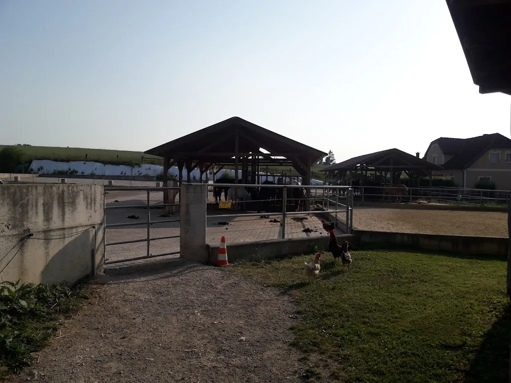 Reitstall Gerstl - photo 1