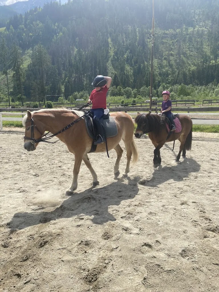 Reitsportarena Hohe Tauern - photo 2