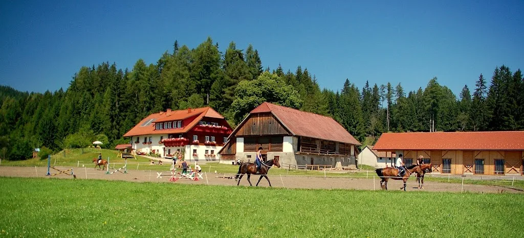 Steinerhof Reiterbauernhof Familie Leitner - Foto 1
