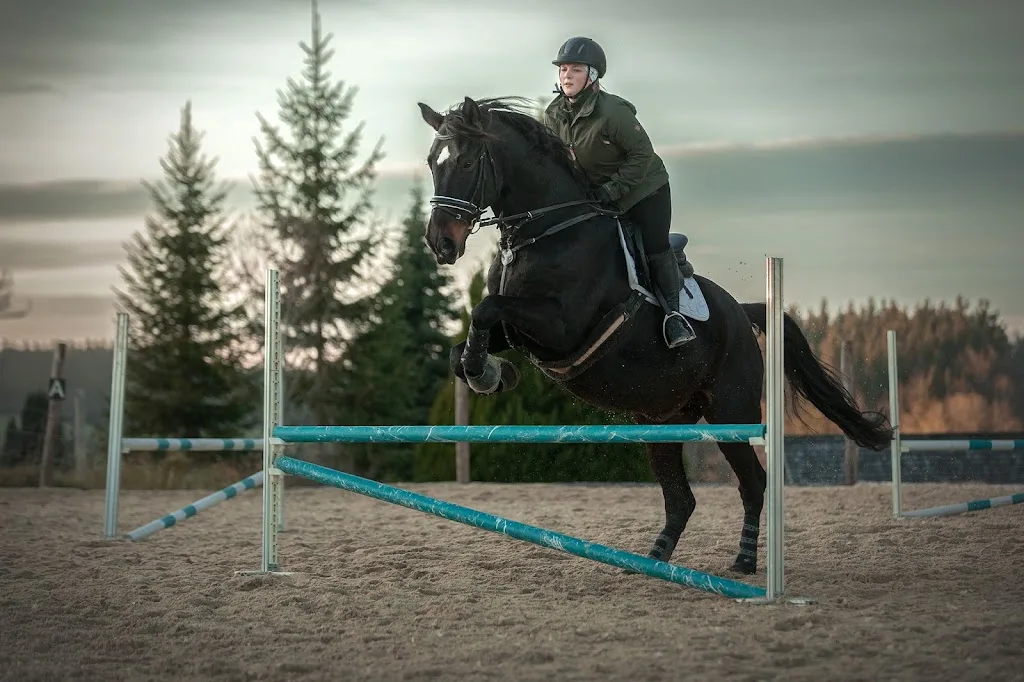 Reitanlage Schöllerhof - Foto 1