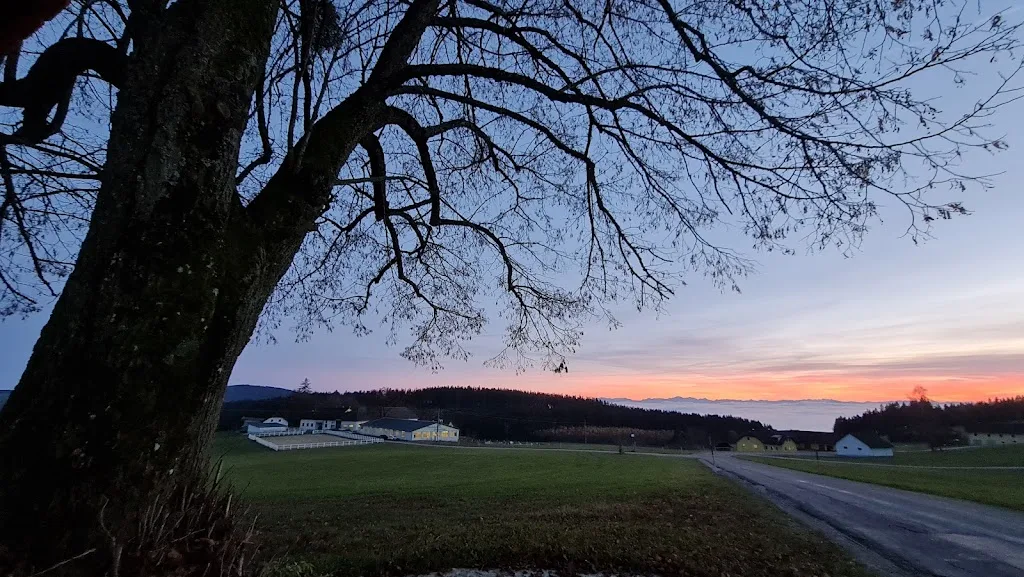 Pferdehof Sonnberger - Foto 1