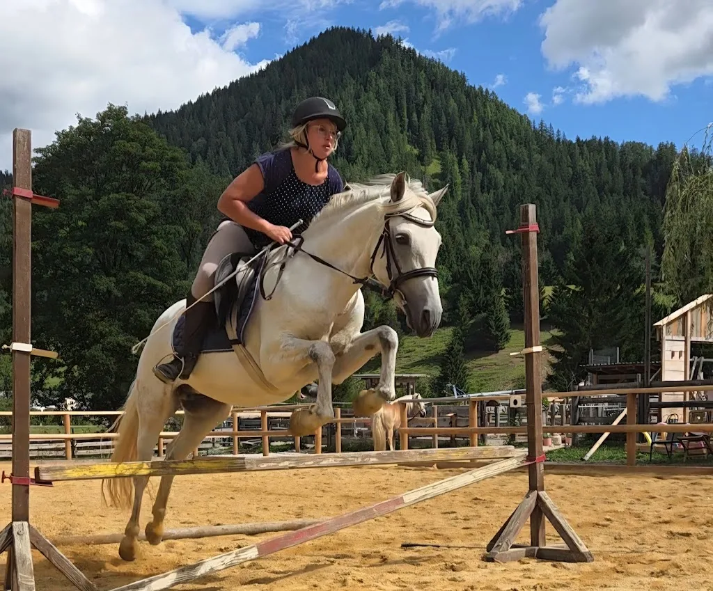 Reitstall am Königbauerhof - Foto 1
