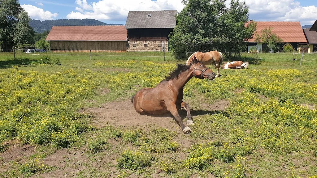 Rubis Ranch - photo 3