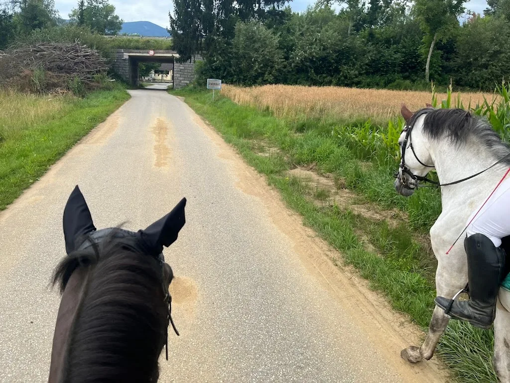 Pferdehof Müllner - photo 1