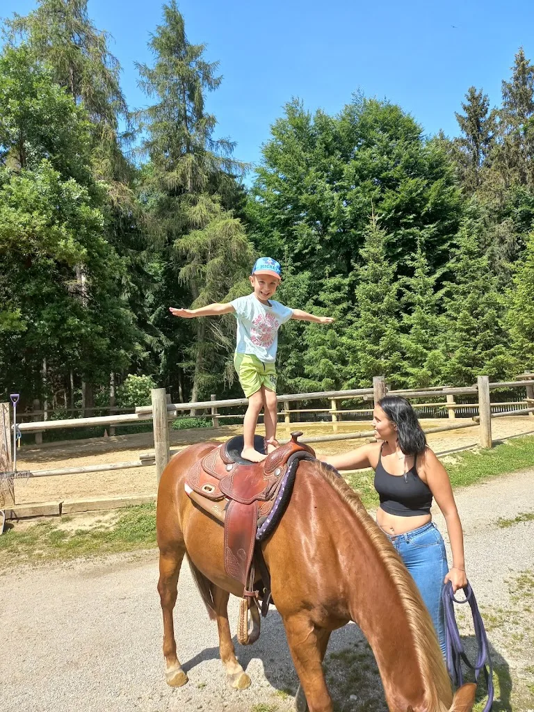Pferdesportzentrum Reitverein Piano Ranch, die mobile Reitschule - Foto 2