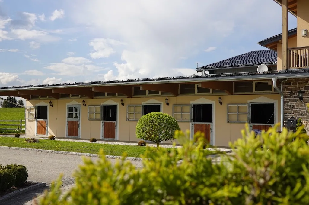 Brunnenhof Sportpferde - photo 3