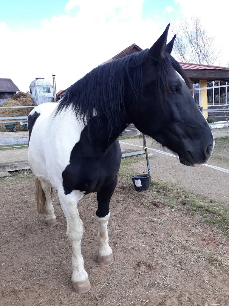 Desperado Ranch - Foto 1