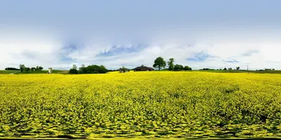 Pferdehof Niedermayr