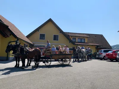 Reiterhof und Pension Hilde Schupanez