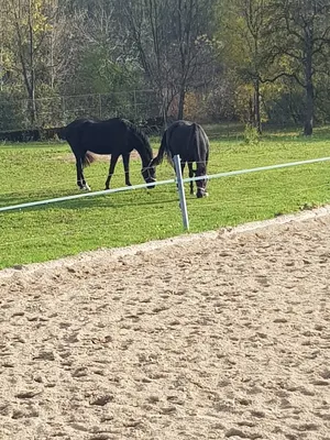 Reitstall Winkler