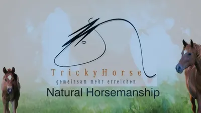 TrickyHorse Training - Martina Klünsner - Pferdetrainer / Körpersprachentraining