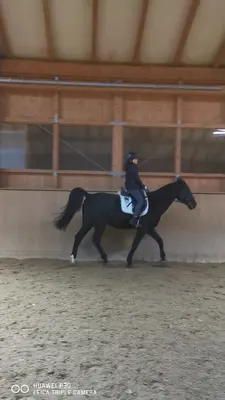 Reitstall Gut Fabricius
