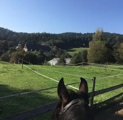Reitstall Angererhof
