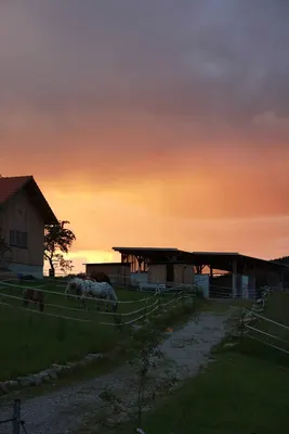 (K)ein Ponyhof
