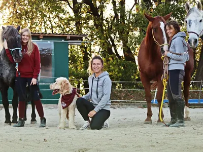 mit Pfote, Huf und Herz