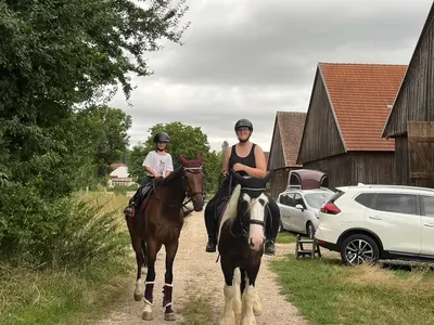Fessel Alfred - Quater Horse Stable
