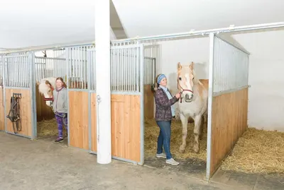 Reitclub Hofmühlen