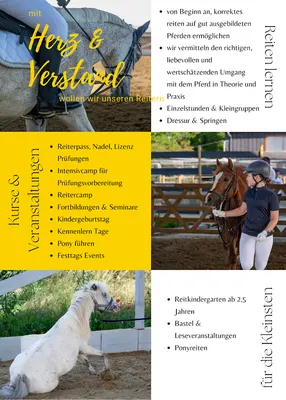 Ausbildungsstall Gut Obere Trift Dressurtraining Nicola Wolsdorff