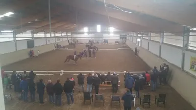 Reitstall Weigelsdorf