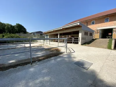 Reit- und Zuchtstall Bernhapper