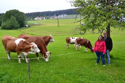 Reissnhof - Pferdestall Familie Birngruber