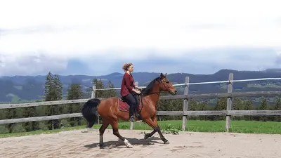 Ariane Göschke Reiten mit Qualität