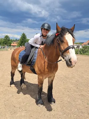 Piju-Ponyranch