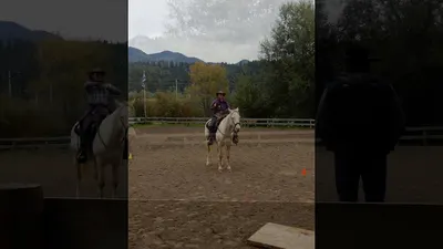 Wooden Wheel Ranch