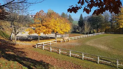 Reitstall Pollhammer