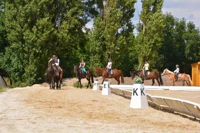 Reitstall Kottingbrunn
