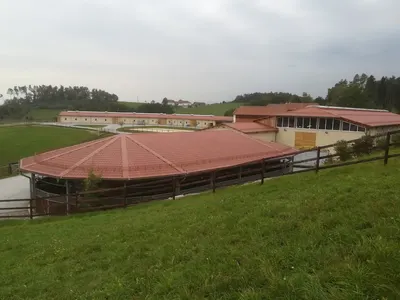 Pferdezucht Hedwig Eder