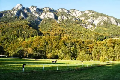 Pferdewelt Reichenau
