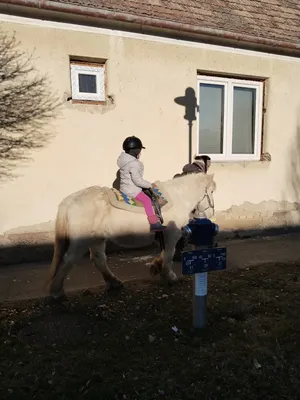 Pferderanch