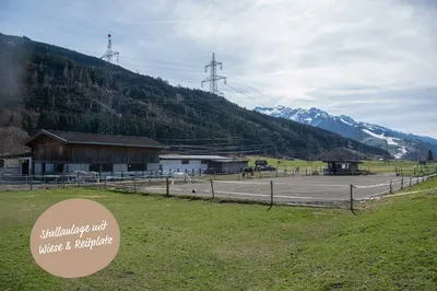 Pferdelounge Bruck