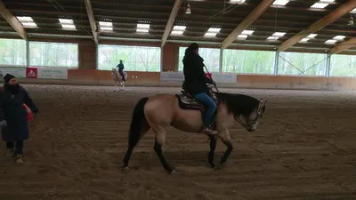 WesternReitCenter Lobau