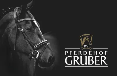 Pferdehof Gruber