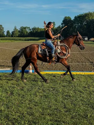 Jacky-Ranch