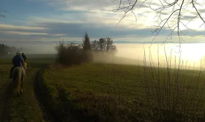 Pferdehof Pammer