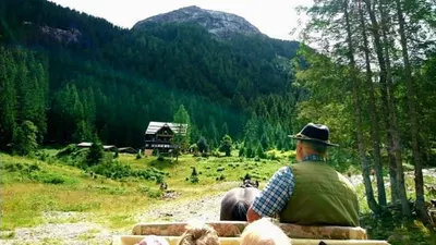 Islandpferdehof Oberhaizing
