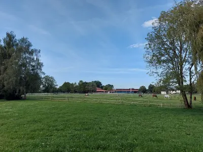 Hofer Stall