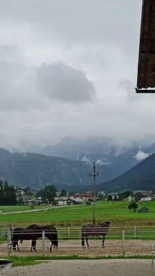 Pferdehof Reiter Gosau