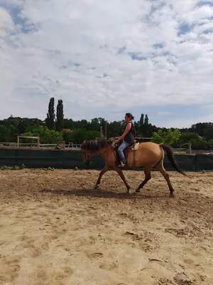 Westernreitinstruktorin Julia Knoll